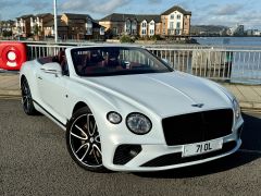 BENTLEY CONTINENTAL GT FIRST EDITION + ICE WHITE METALLIC + CRICKET BALL HIDE +  - 2843 - 5