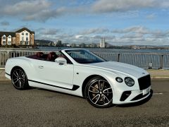 BENTLEY CONTINENTAL GT FIRST EDITION + ICE WHITE METALLIC + CRICKET BALL HIDE +  - 2843 - 11