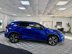 LEXUS NX 300H F SPORT + ULTRASONIC BLUE + MUST SEE + FINANCE ME +  - 2895 - 13