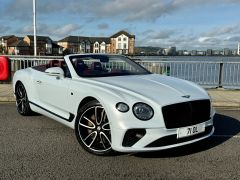 BENTLEY CONTINENTAL GT FIRST EDITION + ICE WHITE METALLIC + CRICKET BALL HIDE +  - 2843 - 6