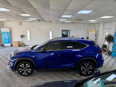 LEXUS NX 300H F SPORT + ULTRASONIC BLUE + MUST SEE + FINANCE ME +  - 2895 - 10